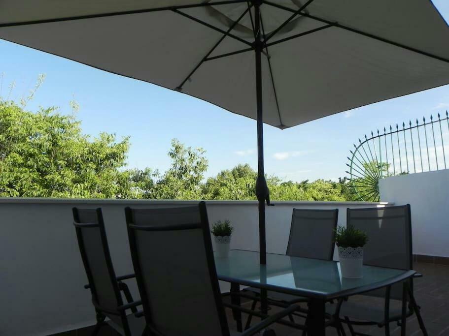 Atico Con Terraza En Alameda De Hercules Sevilla Eksteriør billede
